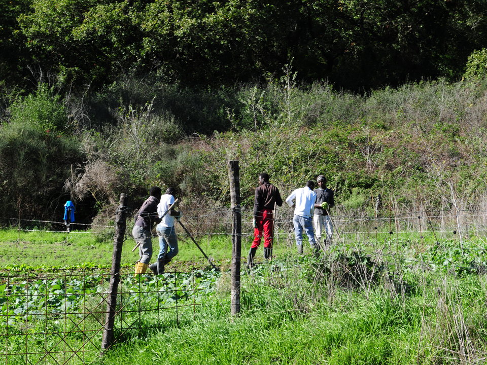 agricoltura sociale campagna agriturismo casale martignano